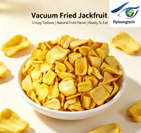 Vacuümgefrituurde Jackfruit Chips Natuurlijk Tropisch Fruit Knapperig Laag in Olie VF Jackfruit voor Retail Snack Mix en Snoepgoed