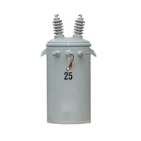 Transformateur de distribution monophasé immergé dans l'huile, monté sur poteau, 25 kVA, 13,8 kV, 120/240 V, pour les systèmes électriques des services publics