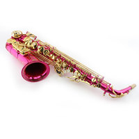 Hot Pink Eb Alto Saxophone Brass Wind Instrument Adjustable Lacquered Finish Bakelite Head for Student Beginner Band Performance