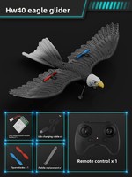 Avión de Juguete RC en Forma de Águila de 2.4GHz, de Resina Plástica, con Luces y Baterías, Alcance de 100m, Listo para Usar, para Niños