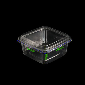 Dùng Một Lần Vuông Pet Salad Nhựa <span class=keywords><strong>Container</strong></span> Thực Phẩm Gói Hộp Nhựa Cho Trái Cây Thịt Bánh <span class=keywords><strong>Pizza</strong></span> Sushi Bánh Vỉ Bao Bì - Product Image 4
