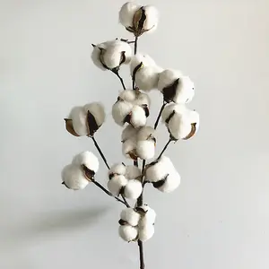 Handmade Floral Picks Stalks Plants 10 Cotton Bolls White Natural Dried Cotton Flower For Winter Christmas Decoration