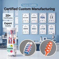 Cepillos de Dientes de Cerdas Suaves Personalizados al por Mayor, Marca Privada, Cepillo Limpiador Dental para Adultos, Fabricante Mayorista