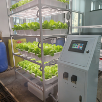 Système d'irrigation aéroponique automatique certifié Yinghui pour armoire intérieure, capacité de 120 plantes, garantie 1 an, avec rapport.
