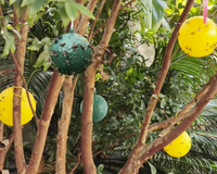 Tuinbenodigdheden Groothandel Kas Boomgaard Boerderij Tuin Fruitvlieg Legerworm Geel Groen Vangst Bal