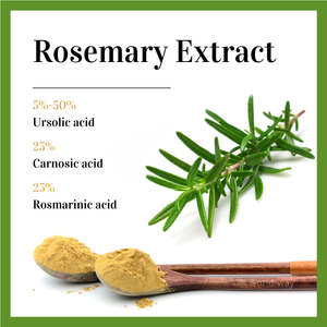 Top Quality Rosemary <strong>Extract</strong> Preservative Suppliers Organic Rosemary <strong>Extract</strong> <strong>25</strong>% Rosmarinic <strong>Acid</strong> Rosemary <strong>Extract</strong> Powder - Product Image 2