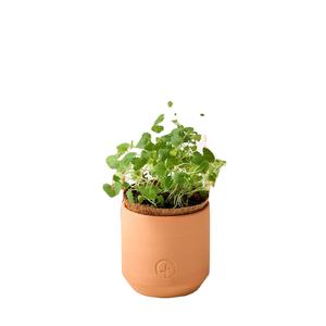 Vente directe Kits de jardin <span class=keywords><strong>en</strong></span> terre cuite Design champêtre de style animal pour la pépinière extérieure comprend un <span class=keywords><strong>pot</strong></span> de filet de sol de bureau gratuit - Product Image 6