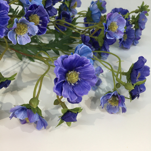2025 Vente en gros <span class=keywords><strong>Cosmos</strong></span> Flower Row Fleurs et plantes décoratives pour la décoration intérieure ou extérieure de la maison - Product Image 5
