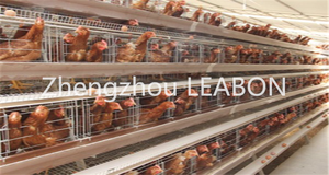 Leabon 3 Étages 4 Portes Lapin <span class=keywords><strong>Cage</strong></span> À Volaille Cages de Poulet de Couche À Vendre - Product Image 3
