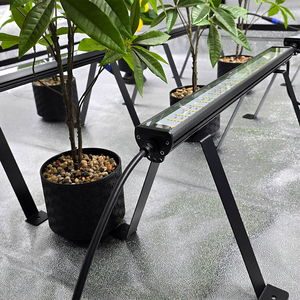 Không thấm nước quang phổ đầy đủ dẫn phát triển ánh sáng với bên dẫn thanh bổ sung ánh sáng dưới tán cây cho đậu quả phát triển Lều nở hoa - Product Image 3