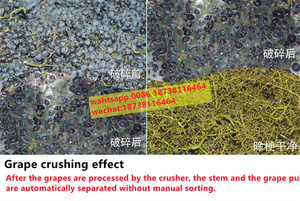 Alle In Een Druif <span class=keywords><strong>Cherry</strong></span> Aardbei Crusher Druif De-Die Voortvloeien En Verpletterende Machine Druif Pulp Extraheren Machine - Product Image 3