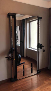 Dinuo Macchina Crossover a Doppia Parete per Uso Commerciale - Trainer Funzionale di Lusso per Home Gym con Doppio Pacco Pesi - Product Image 6