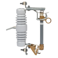 Disjoncteur de protection extérieur haute tension en porcelaine pour transformateur