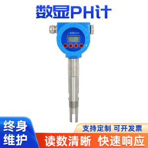 Medidor de pH Industrial en Línea 0-14Ph con Pantalla Digital y Cuerpo Metálico para Análisis de Aguas Residuales - Product Image 4