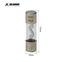 Fusible AGU pour voiture AK-F001 10-100a, fusible en verre AGU, pièces détachées automobiles, fusible de modification audio AGU
