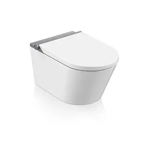 E420 Concealed Tank Ceramic Matte Black Colour Wall Hung Toilet With Multifunction