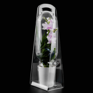Custom Clamshell Blaar Planten Pak Container Vierkant Geconserveerde Rozenbloem Geschenkverpakking - Product Image 1