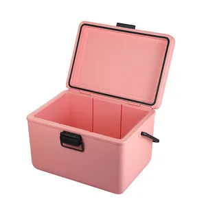 Unique Design 12L Pink Injection-Molded hard cooler Box, Ideal for Office, School, and Outdoor Use