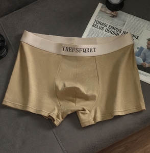 Custom Logo <strong>Men's</strong> Knitted Cotton Boxer <strong>Briefs</strong> Underwear Shorts Breathable Anti-Bacterial - Product Image 4