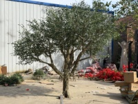 Arbre d'olivier artificiel haut de gamme en soie, personnalisé, grand format, décoratif, forgé, en pot, avec fleurs, en soie de qualité supérieure
