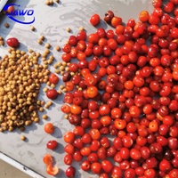Dry Date Pitting Depeemachine Fruitputmachine Voor Perzik En Pruim