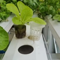 Système hydroponique NFT de qualité supérieure en promotion avec pompe automatique pour l'agriculture en serre et la culture verticale