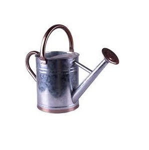 Màu Vàng Mạ Kẽm Nước Mộc Mạc Có Thể Cho Vườn Cao Cấp Chất Lượng Handmade Tưới Nước Mía Vòng Hình Dạng Bán Buôn Nước Mới Có Thể - Product Image 4