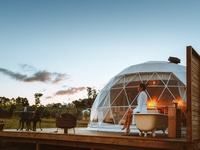 Tente Dôme Géodésique de Luxe Moderne et Transparente pour Hôtel de Glamping, 8m, Ignifuge, Étanche en PVC, Quatre Saisons, Certifiée CE