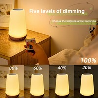 Lampe d'ambiance LED créative et moderne 13 couleurs, sans motif, pour chevet, chambres, bars, camping, rechargeable par USB
