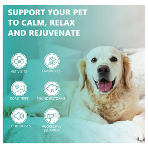 Gouttes personnalisées pour chiens, gouttes anti-stress, compléments nutritionnels pour animaux de compagnie, soulagement de l'anxiété, friandises apaisantes pour animaux de compagnie, complément apaisant pour chiens, friandises apaisantes pour chiens - Product Image 5