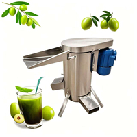1000kg/uur Grote Capaciteit Mango Pulp Machine Fruitpulpmachine Mango Pulper