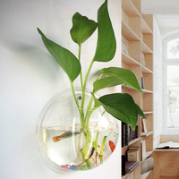 Beliebtes Großhandelsprodukt zum Fabrikpreis: 5L Zylinder Nano-Aquarium aus Ultraklarem Glas, Umweltfreundliches Fischbecken mit Verpackung