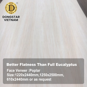 Contrachapado de Álamo de Grado Mueble 4x8 pies 6mm 9mm 12mm 18mm para Fabricación de Gabinetes - Product Image 4