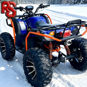 <span class=keywords><strong>Prix</strong></span> des quads Raxen 4x4 <span class=keywords><strong>300cc</strong></span>, expédition immédiate, robustes pour la conduite tout-terrain - Product Image 1