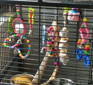 Blocs de bois naturels pour rongeurs, lapins, hamsters, <span class=keywords><strong>jouet</strong></span> à mâcher en <span class=keywords><strong>pierre</strong></span> ponce, étoile minérale, <span class=keywords><strong>pierre</strong></span> à aiguiser en calcium, <span class=keywords><strong>jouet</strong></span> pour oiseaux, perroquet - Product Image 5