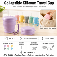 Gobelet pliable en silicone de qualité alimentaire personnalisé avec couvercle, paille et cordon, tasse de voyage portable pliable pour l'eau, OEM ODM