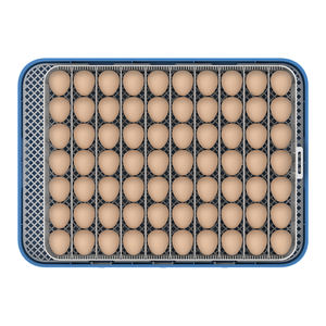 Incubateur de poussins 70Egg de dernière technologie avec batterie Inbelt pièces de rechange du Bangladesh à vendre <span class=keywords><strong>Amazon</strong></span> à faible coût - Product Image 6
