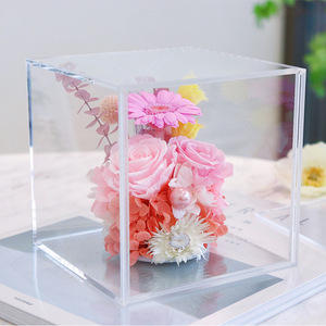 Flores preservadas Margarita Africana Gerbera <span class=keywords><strong>jamesonii</strong></span> PARA EL Día de San Valentín Regalo de Navidad Decoración interior Dormitorio - Product Image 3