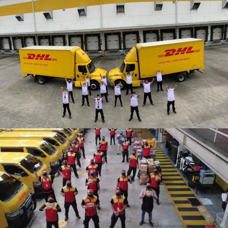 Dhl sea shipping door to door delivery including custom clearance and import tax