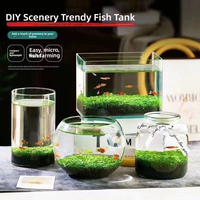 Graines de plantes aquatiques écologiques 1L, substrat sans lavage pour aquarium, hydroponie de bureau, micro-paysage en pot, décoration
