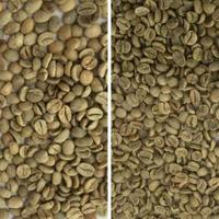 2025 WENYAO CCD trieurs de couleurs pour grains de café café cerise trieuse avec la meilleure précision de tri