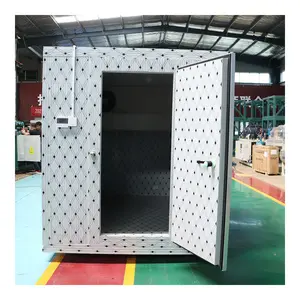 New Mobile Cold Room Storage Container for Fish Meat and Vegetable Ice Storage for Restaurants Farms Manufacturing Plants