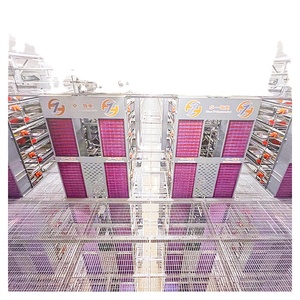 Nouvelle Offre Spéciale : Cage à Poules Pondeuses de Type H Zhuoyi, Équipement d'Élevage de Poules Pondeuses avec Revêtement <span class=keywords><strong>en</strong></span> Zinc Galvanisé à Chaud - Product Image 3