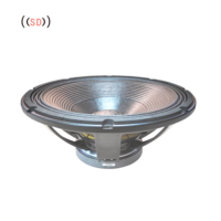 Caisson de basses d'usine OEM Haut-parleur de basses 21 pouces
