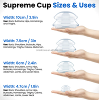 Ensemble de ventouses en silicone, ventouses de massage chinoises professionnelles pour la thérapie par ventouses et la réduction de la cellulite