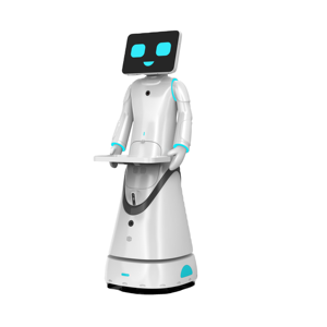 2025 nuevo VEWON AI Robot inteligente exposición Hotel empresa recepción bienvenida Robot promoción explicación IP65 - Product Image 1