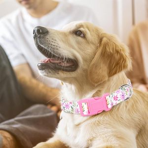 Collar de perro ajustable de poliéster suave con patrón de impresión y cintas Collar sostenible para perros XS pequeños, medianos y grandes XL - Product Image 2
