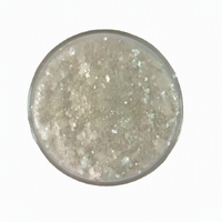 Fabricants proposent diverses spécifications de poudre de mica muscovite phlogopite pour application de revêtement – Bienvenue pour les commandes