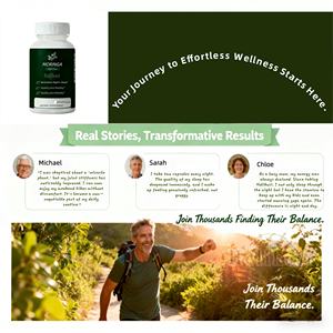 OEM Label pribadi kapsul <span class=keywords><strong>Moringa</strong></span> ORGANIK daun <span class=keywords><strong>Moringa</strong></span> murni suplemen ekstrak kapsul <span class=keywords><strong>Moringa</strong></span> organik - Product Image 6