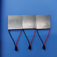Module d'alimentation thermoélectrique haute température 11V 2A 9W TGM-287-1.4-1.5 générateur TEG TEG1-127 40X40 Peltier